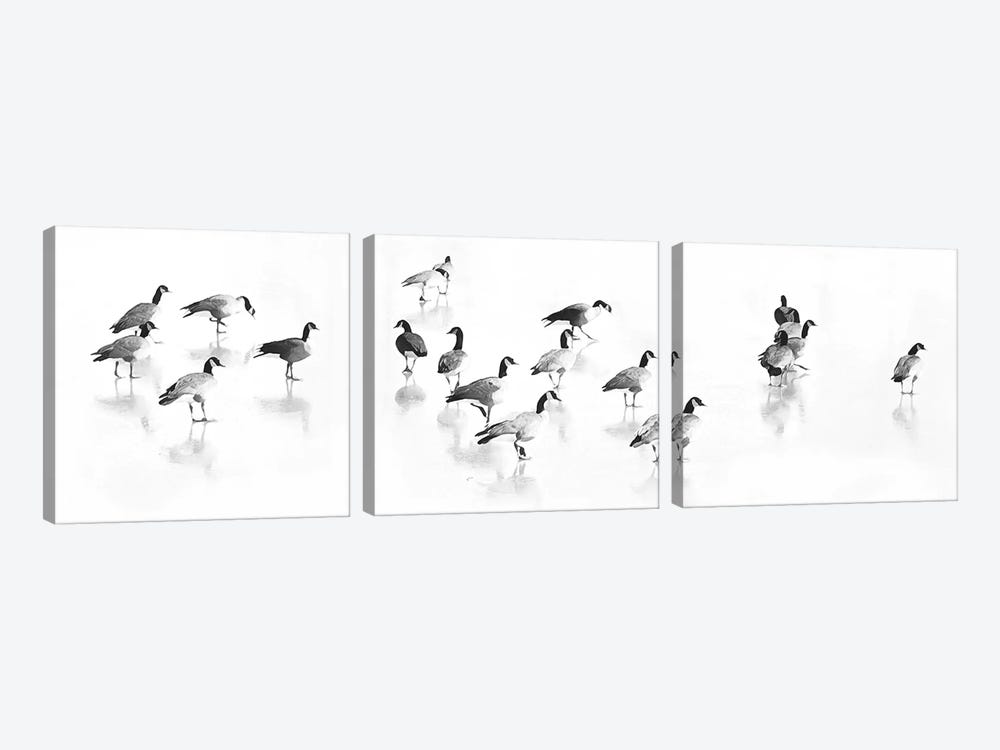 Flock Of Canada Geese by Lu Anne Tyrrell 3-piece Canvas Art Print