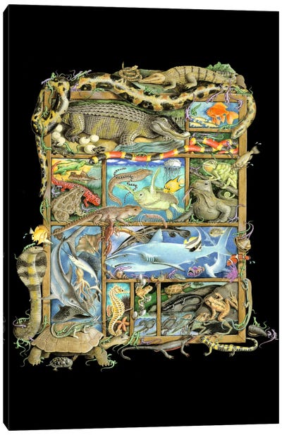 Reptiles, Fish & Amphibians Canvas Art Print