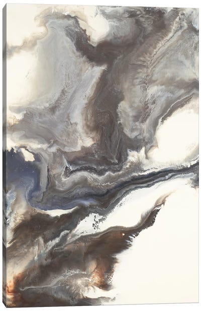 Hirondelle Canvas Art Print - Agate, Geode & Mineral Art