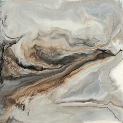 Brown Untitled by Corrie LaVelle canvas print