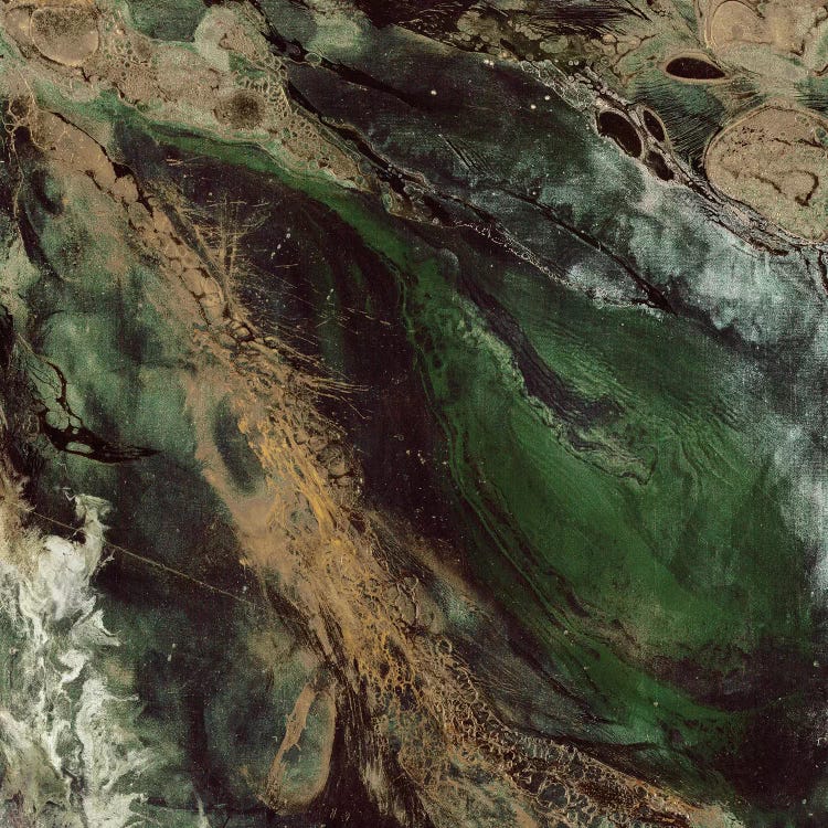 Depth by Corrie LaVelle wall art
