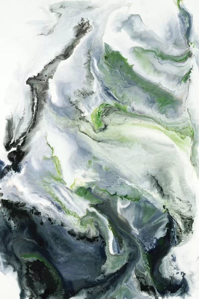 Last Night's Dream by Corrie LaVelle canvas print