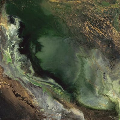 Magnitude by Corrie LaVelle art print