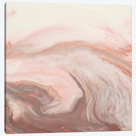 Peach Untitled Canvas Print #LAV34} by Corrie LaVelle Art Print