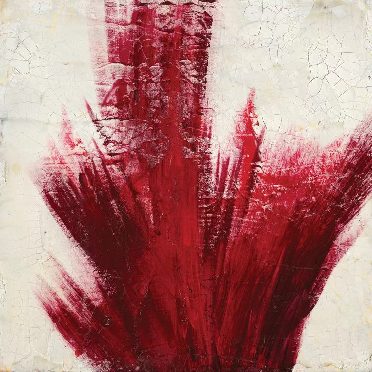 Red Splash by Corrie LaVelle wall art