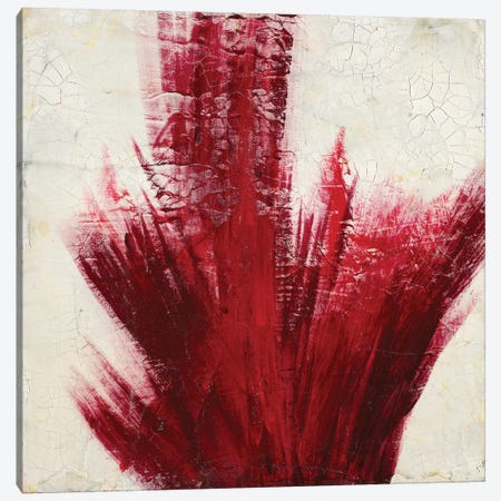 Red Splash Canvas Print #LAV37} by Corrie LaVelle Canvas Print