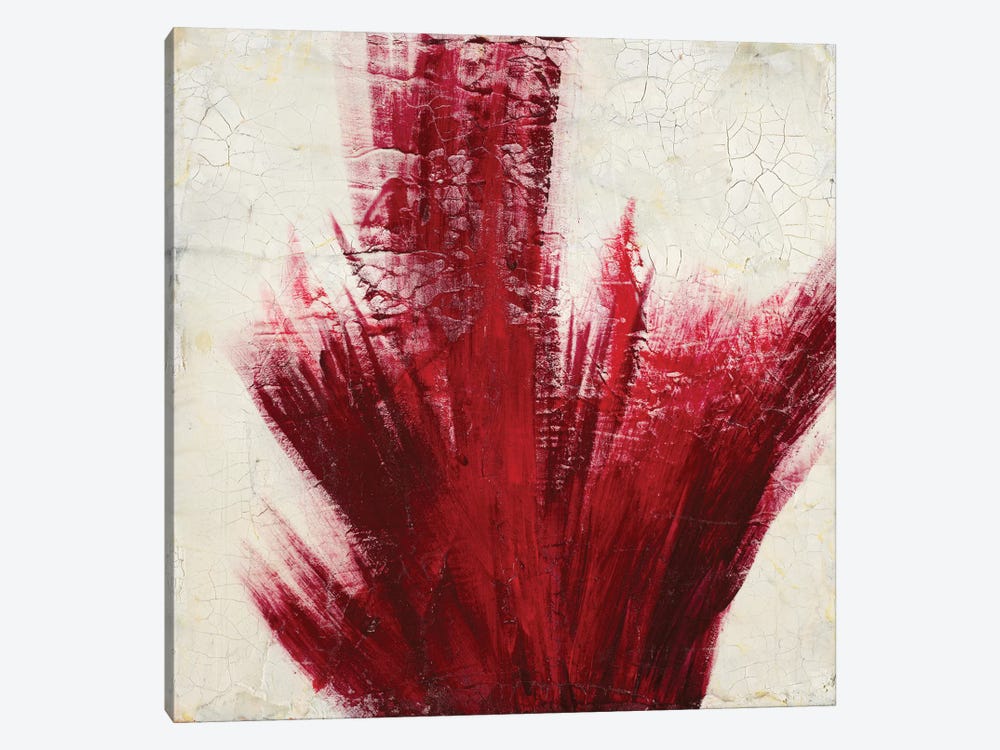 Red Splash by Corrie LaVelle 1-piece Canvas Print