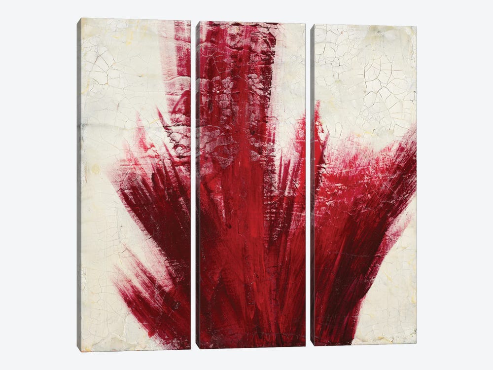 Red Splash by Corrie LaVelle 3-piece Art Print