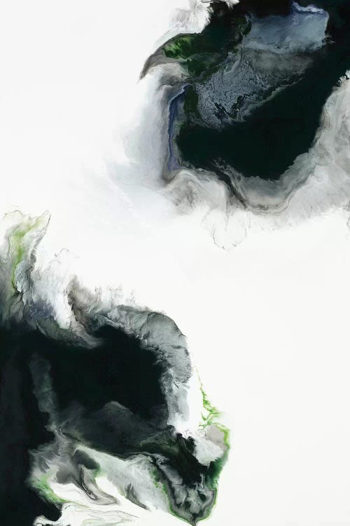 Triumph by Corrie LaVelle wall art