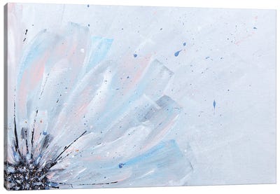 Blue Chamomile Canvas Art Print - Leena Amelina