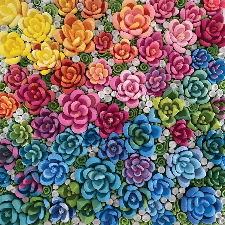 Rainbow Succulents by Alisa Lariushkina wall art