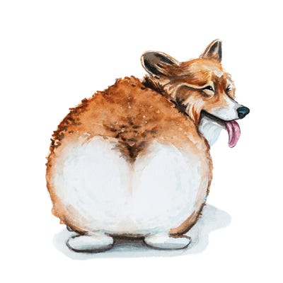 Lauren Barger - Canvas Prints: Corgi by Lauren Barger