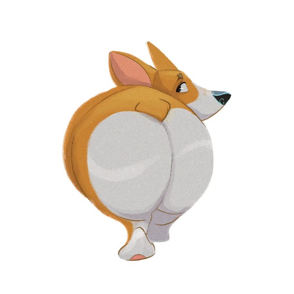 Corgi Butt I