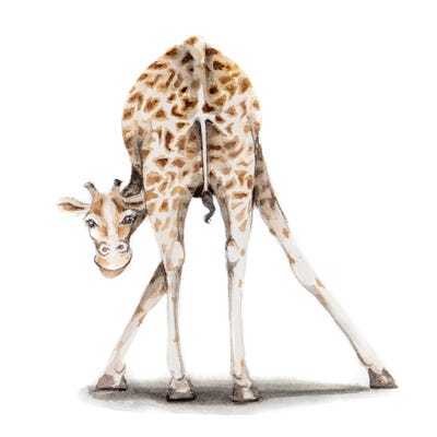 Lauren Barger - Canvas Prints: Giraffe II by Lauren Barger