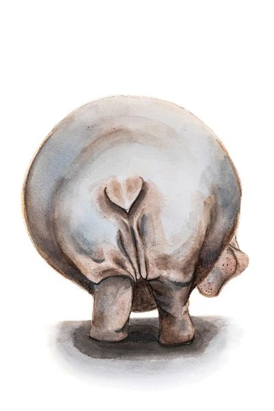 Lauren Barger - Canvas Prints: Hippo by Lauren Barger