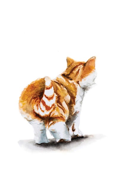 Lauren Barger - Canvas Prints: Kitten by Lauren Barger