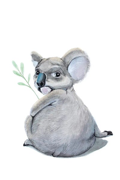 Lauren Barger - Canvas Prints: Koala by Lauren Barger