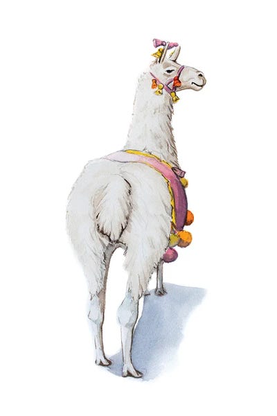 Lauren Barger - Canvas Prints: Llama by Lauren Barger