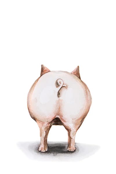 Lauren Barger - Canvas Prints: Pig by Lauren Barger