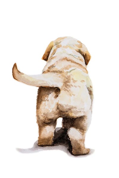 Lauren Barger - Canvas Prints: Puppy by Lauren Barger