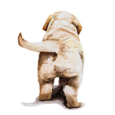 Lauren Barger - Canvas Prints: Puppy Landscape by Lauren Barger