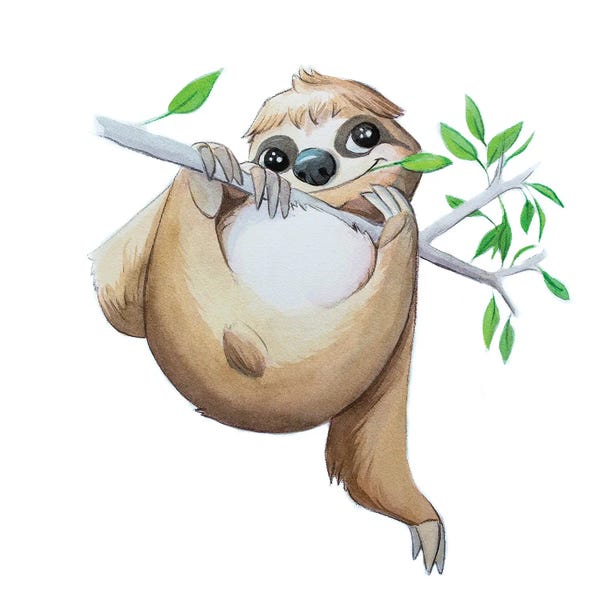 Sloth