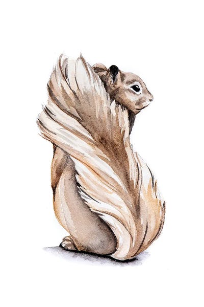 Squirrel
