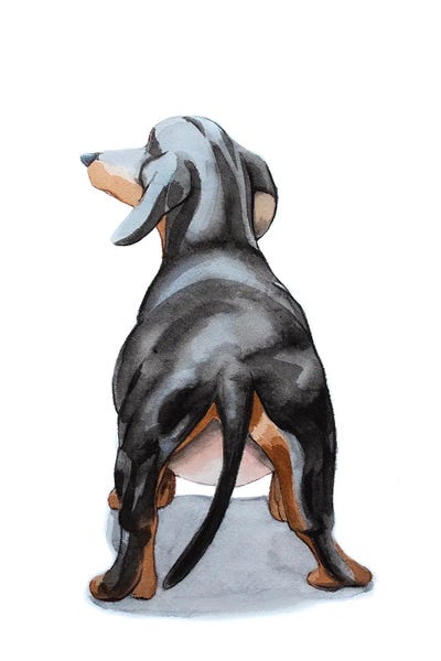 Lauren Barger - Canvas Prints: Weiner by Lauren Barger