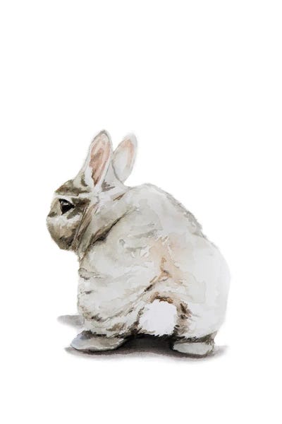 Bunny