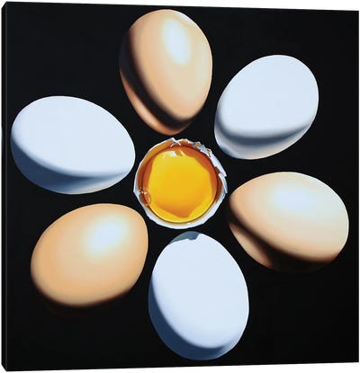 Sole Canvas Art Print - Egg Art
