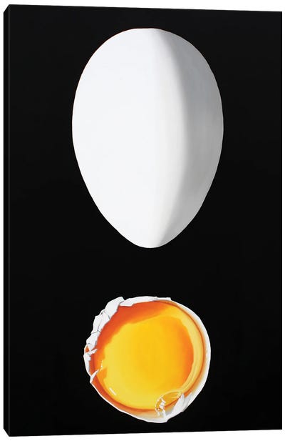 Seguimi Canvas Art Print - Egg Art