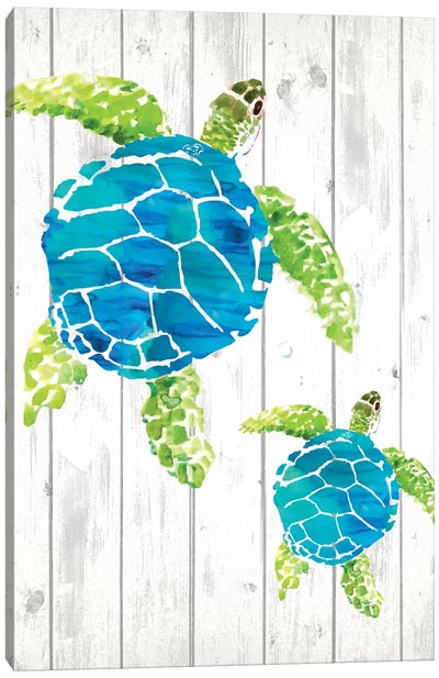 Seaglass Shore III  Canvas Art Print - Turtle Art