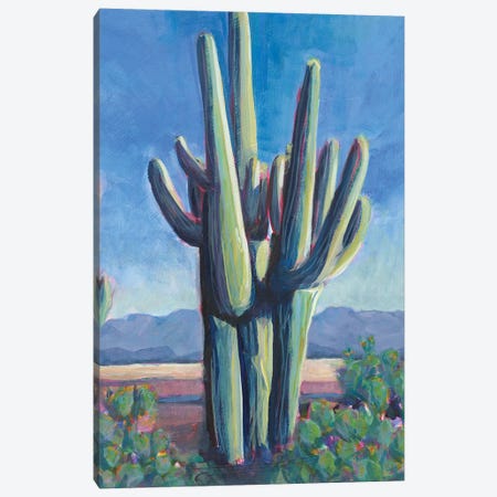 Cactusland II Canvas Print #LBT18} by Lisa Butters Canvas Art