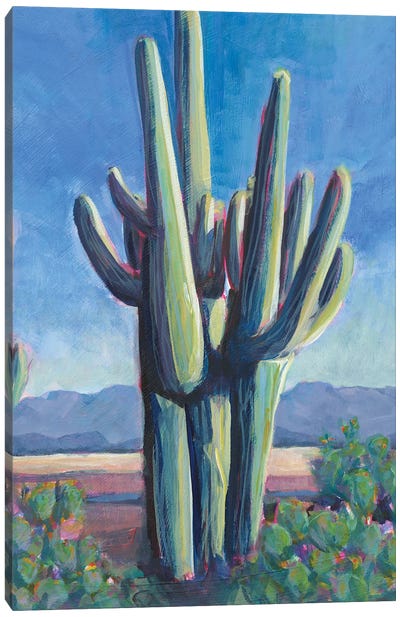 Cactusland II Canvas Art Print - Lisa Butters