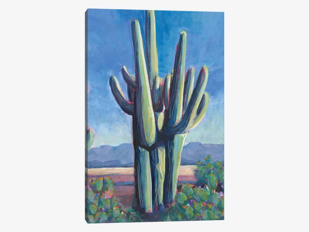 Cactusland II by Lisa Butters 1-piece Canvas Print