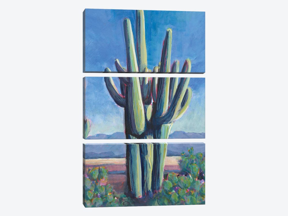 Cactusland II by Lisa Butters 3-piece Canvas Art Print