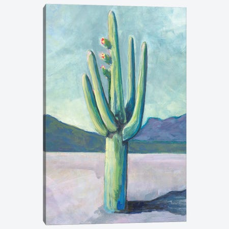 Cactusland I Canvas Print #LBT19} by Lisa Butters Canvas Wall Art