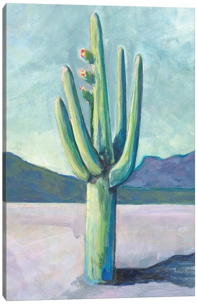 Cactusland I Canvas Art Print - Lisa Butters