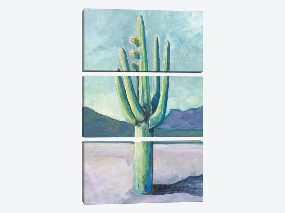 Cactusland I by Lisa Butters 3-piece Canvas Artwork