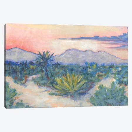 Desert Air Canvas Print #LBT20} by Lisa Butters Art Print