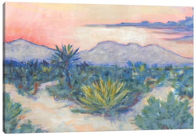 Desert Air Canvas Art Print - Lisa Butters