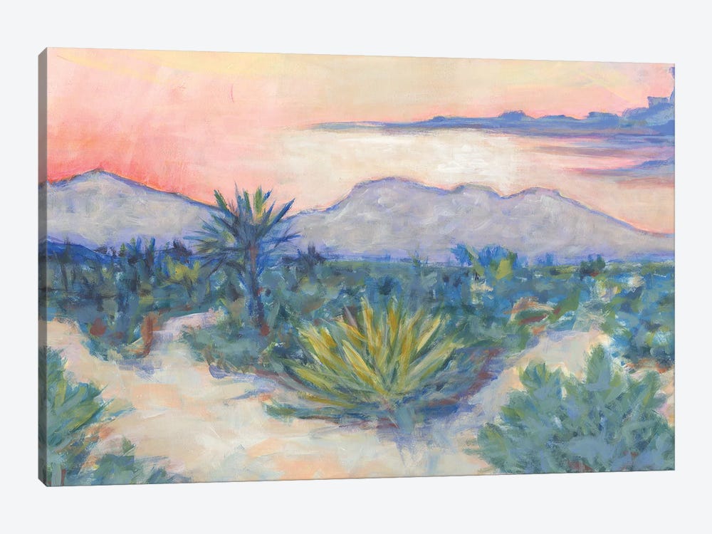 Desert Air by Lisa Butters 1-piece Canvas Wall Art