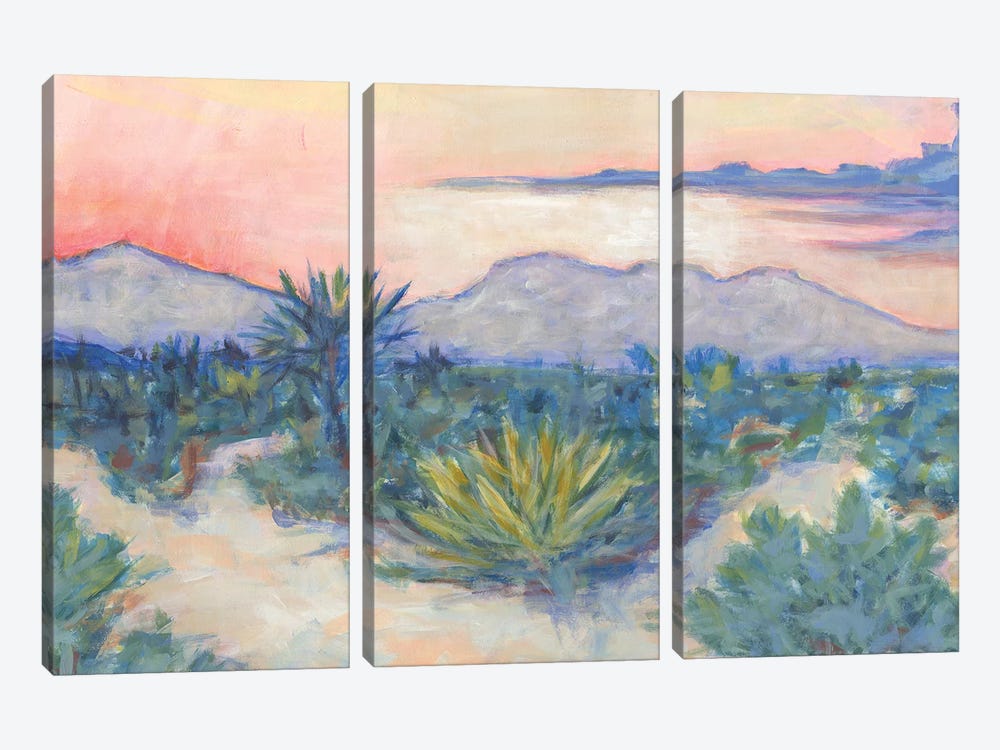 Desert Air by Lisa Butters 3-piece Canvas Wall Art