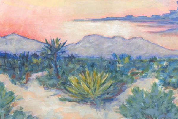 Western Décor: Desert Air by Lisa Butters