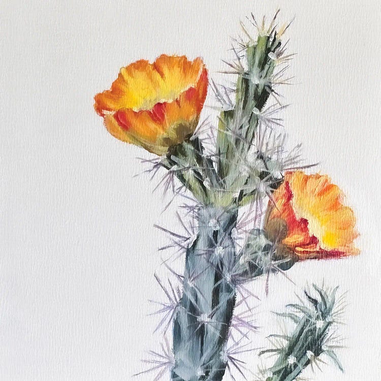 Buckhorn Cholla