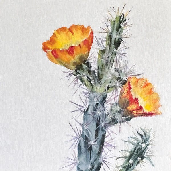 Western Décor: Buckhorn Cholla by Lisa Butters