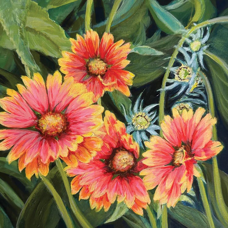 Firewheel by Lisa Butters canvas print