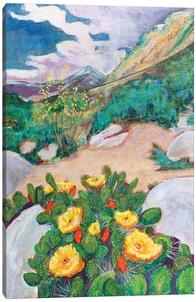 Desert Roses Canvas Art Print - Lisa Butters