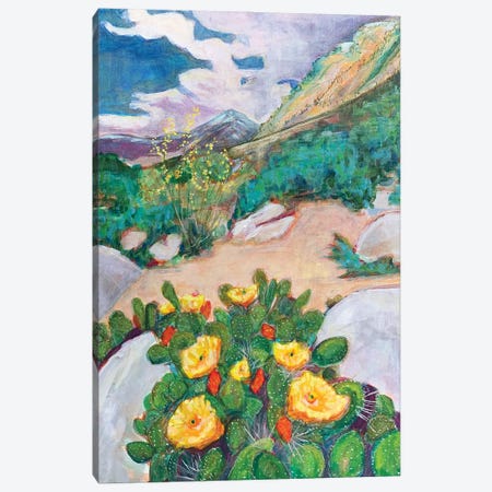 Desert Roses Canvas Print #LBT6} by Lisa Butters Canvas Print
