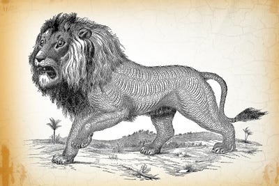 Industrial Lion by Lula Bijoux & Company framed canvas print